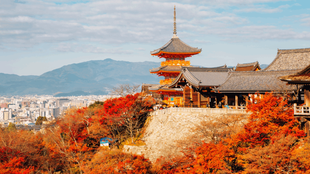 名称未設定のデザイン 3 copy 5